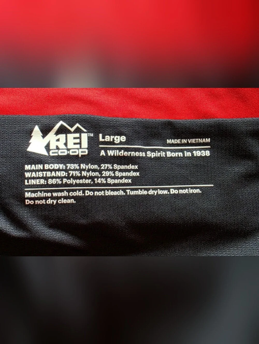REI Co-op men's athletic running shorts (Style 245601)